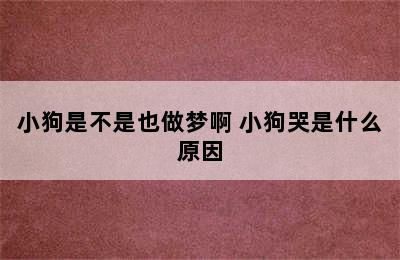 小狗是不是也做梦啊 小狗哭是什么原因